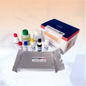 非洲豬瘟病毒ELISA抗體檢測試劑盒