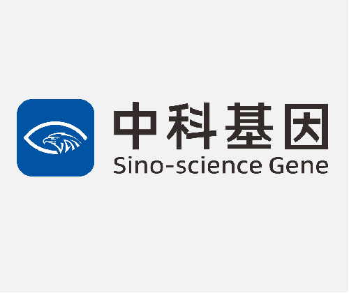 北京中科基因技術股份有限公司 使用資本公積金彌補虧損的公告